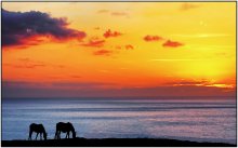 Evening Harmony / Evening falls over the cliffs of Normandy