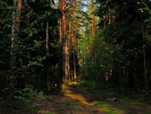Solar path / ***