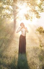 Sunshine / ***