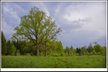 landscape / ***
