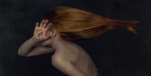 "Fish" / ***