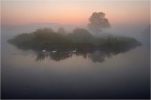 In the morning mist two / ***