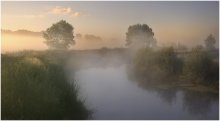 This morning. / A sunny foggy summer morning.