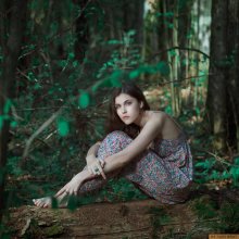 Forest / ***