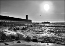 The fishermen / Fishermen at the Portuguese coast