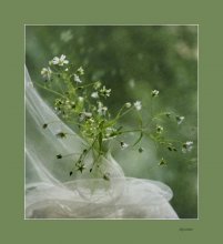 May morning / .................