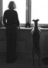 Das Warten / *****