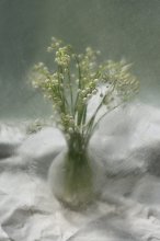 May the freshness ... / ................