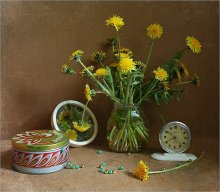 Time dandelions / ***