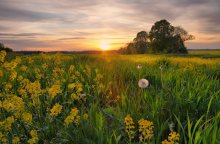 Sommer, Hallo! / *******