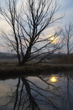 Morgendämmerung / ***