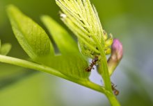 The world of MACRO (3) / *****
