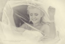 veil / ***