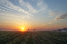 May morning / ***