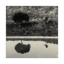 [:-.] / ***