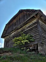 old barn / ***