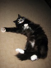 Well, very tired - lie down a bit :) / ***