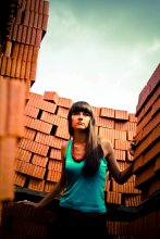 red bricks / ***
