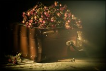 the forgotten things / ***
