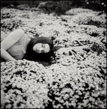  / film 6x6