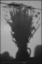 Flower*s ghost / Flower*s ghost