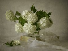 Today I pogruschu bit .... / ...................
