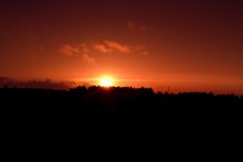Sunset on Mars / ***
