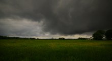 Poplar-field .... / ***