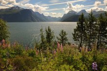View of the fjord on a sunny day. / ***