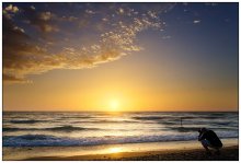 Abend / ***