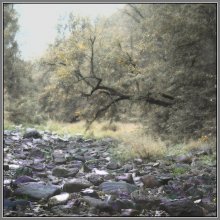 At river rock ... / ***