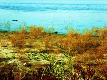 on shore / ...