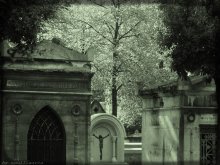 La Force Du Silence #2 / Cimetiere du Pere Lachaise