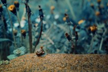 Macro World / ***