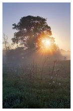 conversing with the sun / ***