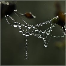 Suspension. / ***