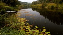Backwater. / ****