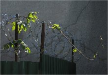 Escape / ********