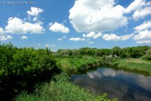 Summer afternoon / ***