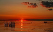 Peterhof sunset ... / ***