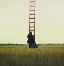 Rising to a height of / ***