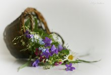 Summer in the basket / ...................