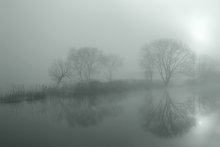 Chilly morning / ***