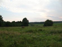 View from the window in the house of the village / ***
