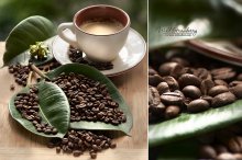 Coffee / =====