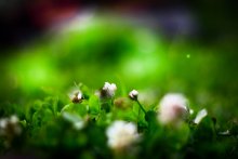 Empfindlichkeit / ***