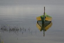 Silence / ***