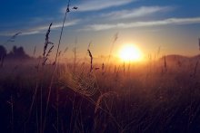 Greeting the dawn, or a kite from the web / *****
