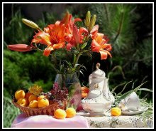 Scent of summer / ***