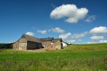 Farm / ***